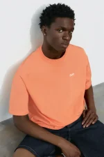 Camiseta boxy logo STWD (1)