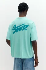 Camiseta boxy logo STWD (10)