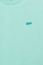 Camiseta boxy logo STWD (15)