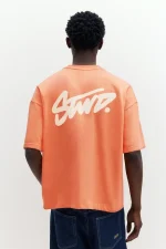 Camiseta boxy logo STWD (3)