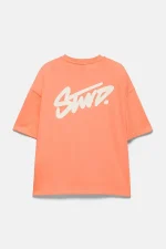 Camiseta boxy logo STWD (7)