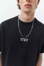 Camiseta gráfico STWD (4)