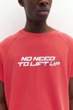 Camiseta manga corta raglán (4)